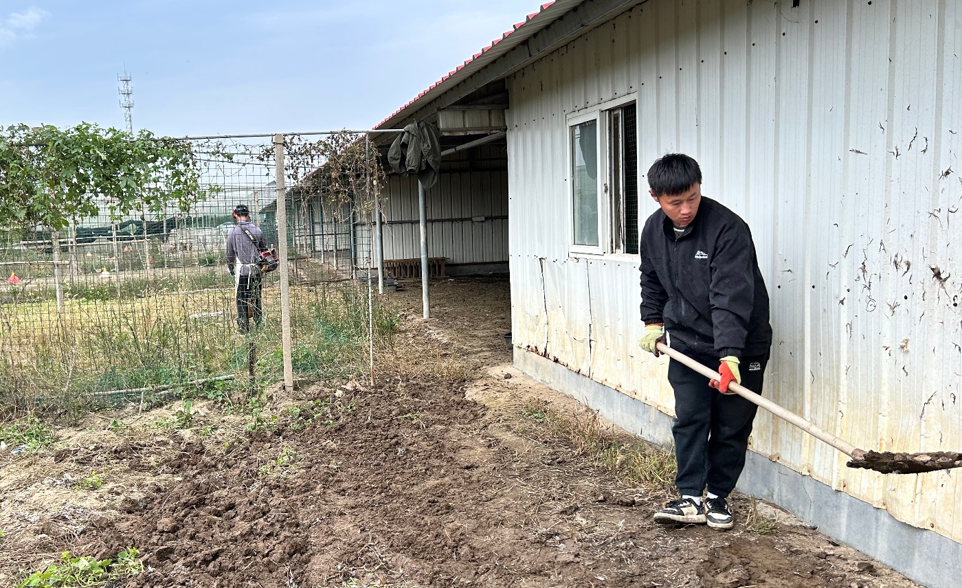 倉儲(chǔ)中心禽舍清理20251027_副本